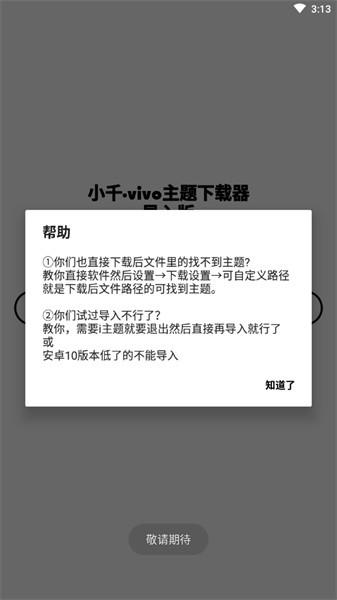 vivo主题下载器游戏截图