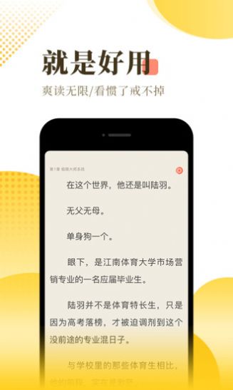 辰兮兮小说游戏截图