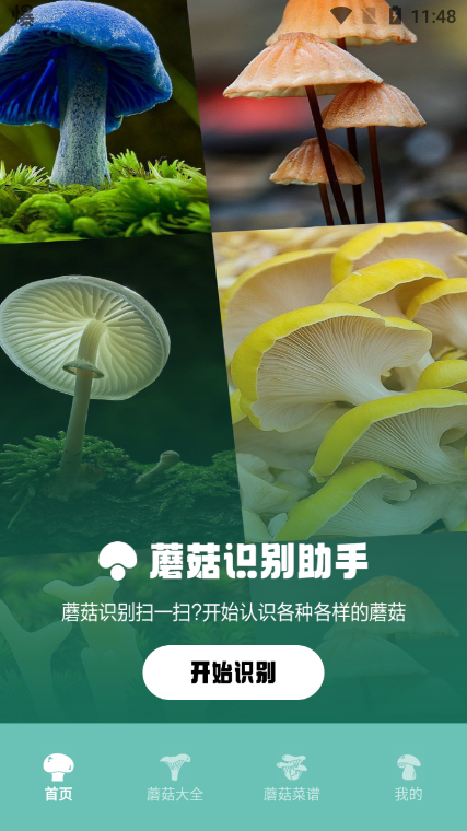 蘑菇识别助手游戏截图